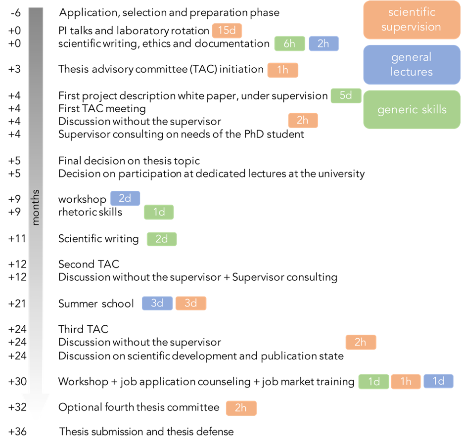 timeline for phd project